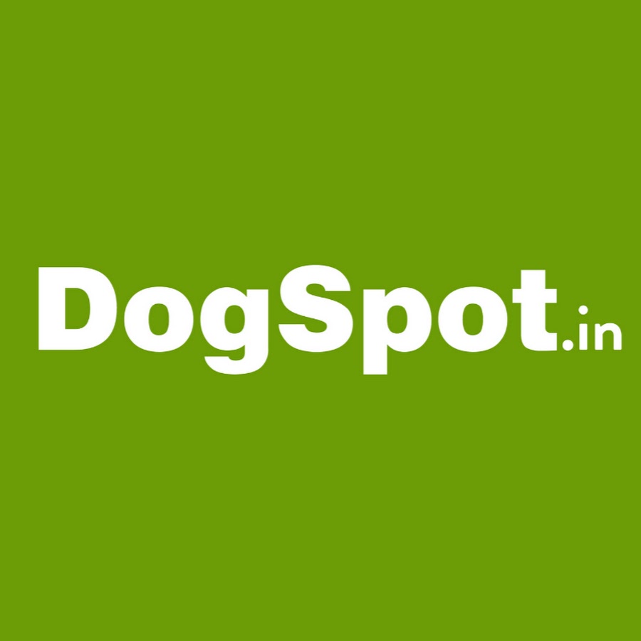 Dogspot YouTube channel avatar