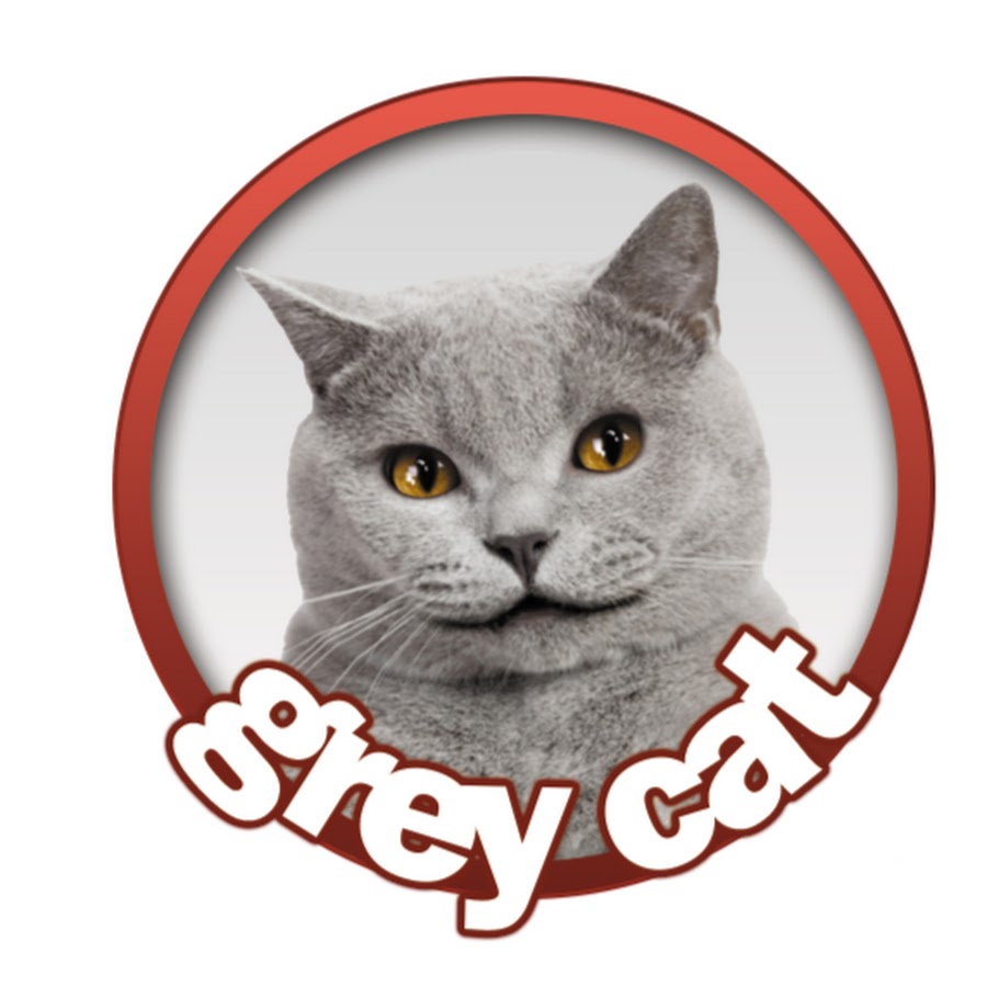 GREY CAT YouTube-Kanal-Avatar