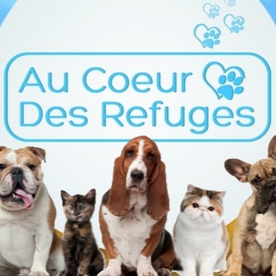 Au Coeur Des Refuges YouTube channel avatar