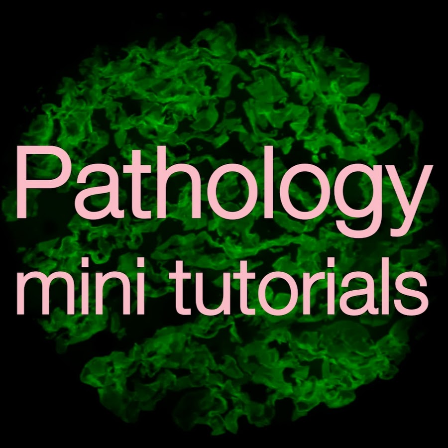 Pathology mini tutorials رمز قناة اليوتيوب