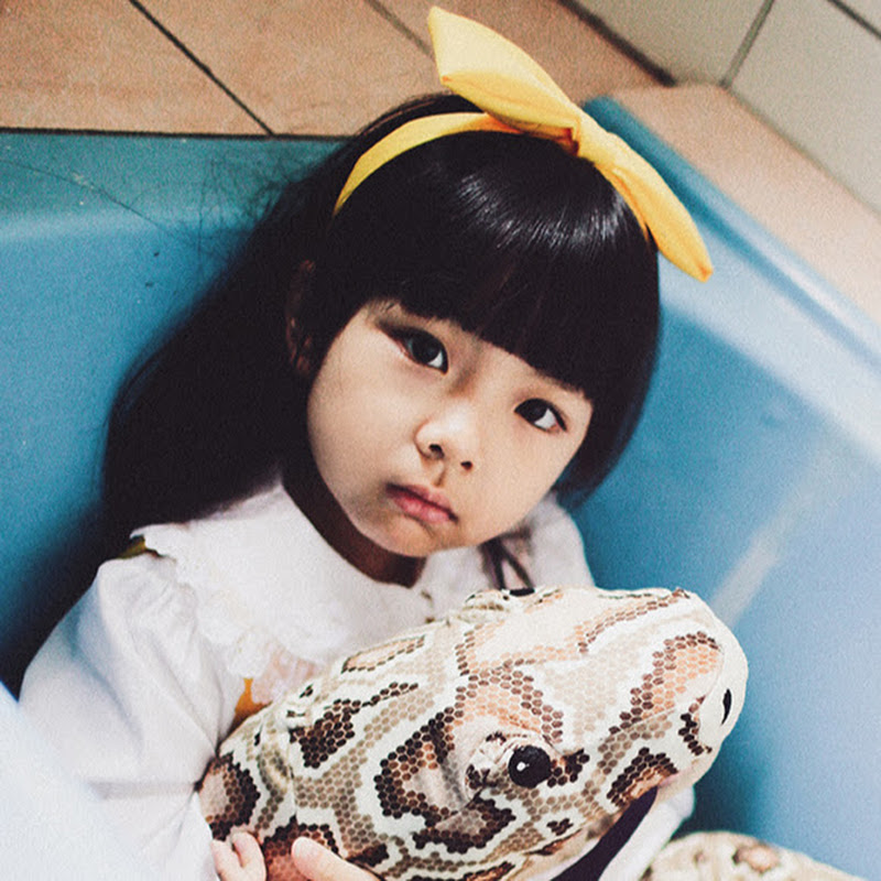 隻隻 - 網紅的藏寶箱 