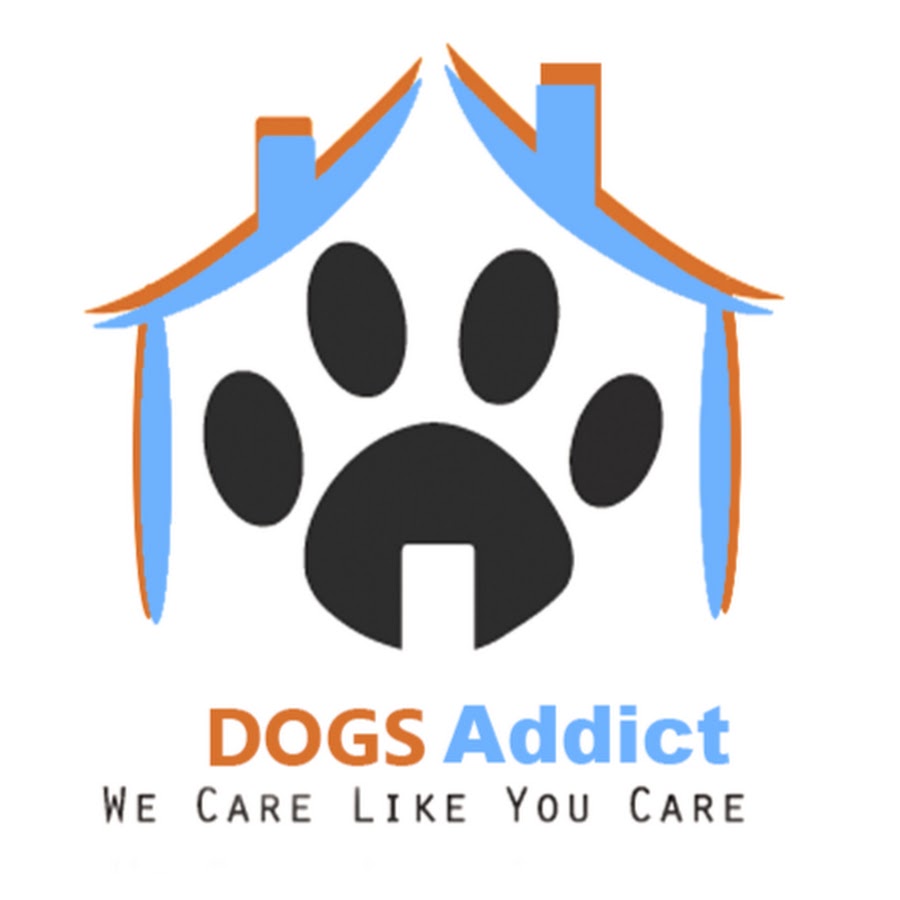 Dogs Addict YouTube-Kanal-Avatar