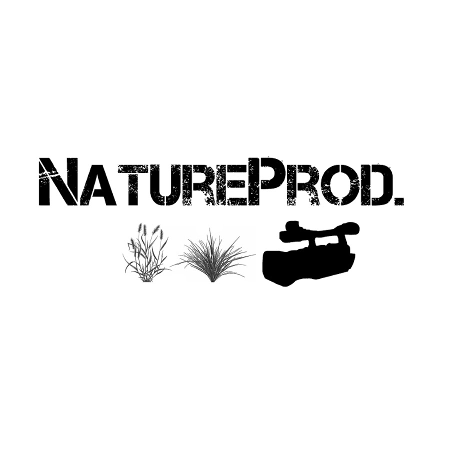 NatureProd ইউটিউব চ্যানেল অ্যাভাটার