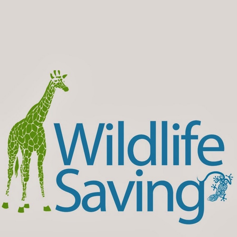 wildlifesaving رمز قناة اليوتيوب