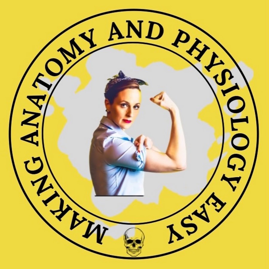 AnatomyGMC यूट्यूब चैनल अवतार