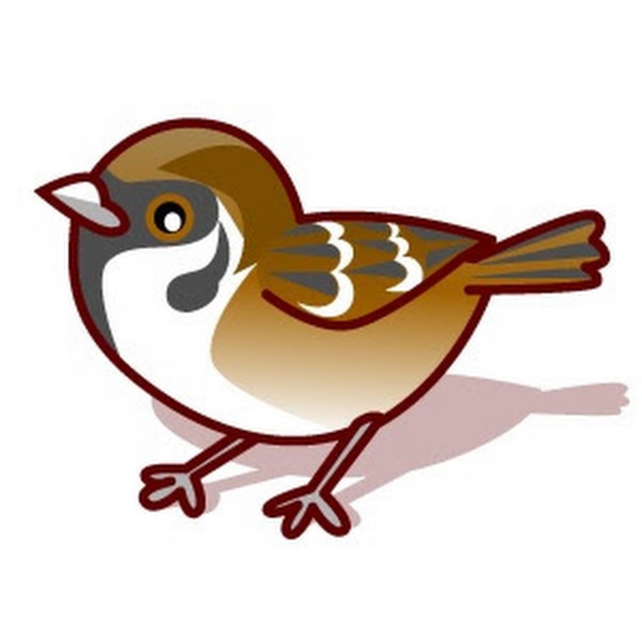 すずめ Youtube