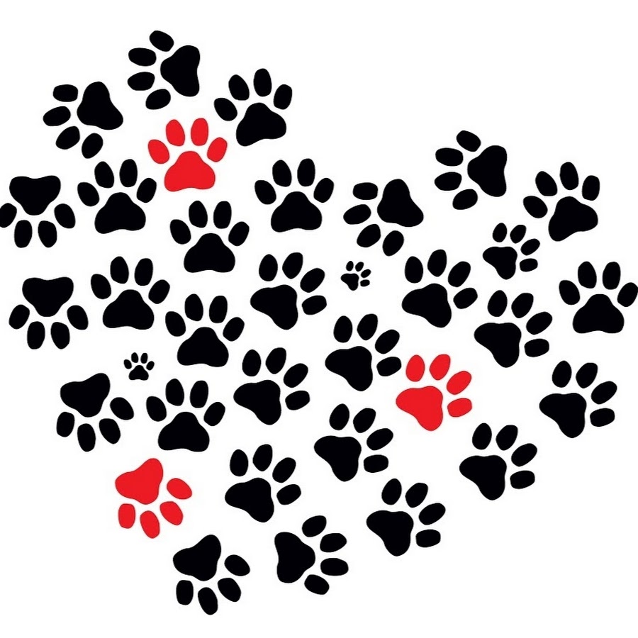 Just Paws Animal Rescue رمز قناة اليوتيوب