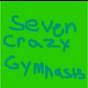 sevencrazygymnasts - @sevencrazygymnasts YouTube Profile Photo