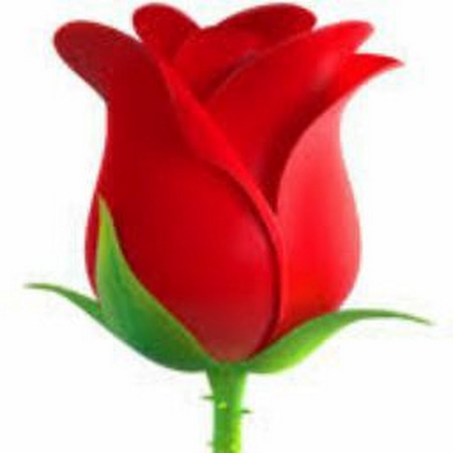 H U S E Y N O V A Youtube