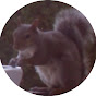 SquirrelJams YouTube Profile Photo