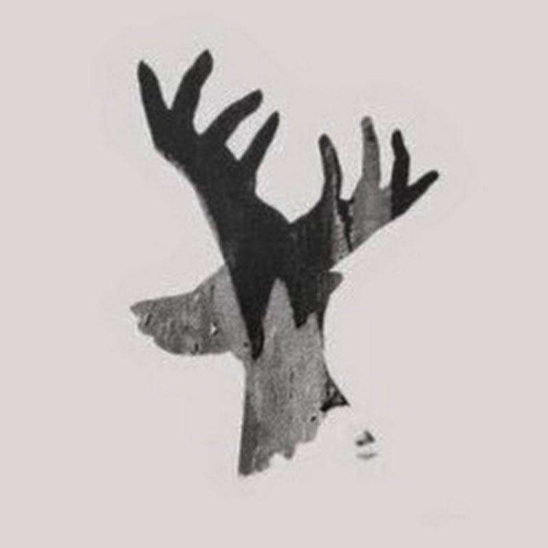 台灣首席手影師 / 張正龍 - 網紅的藏寶箱 