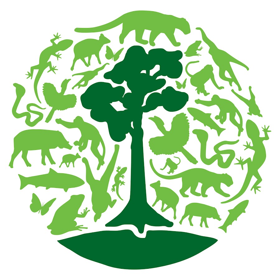 Borneo Nature Foundation Avatar de chaîne YouTube