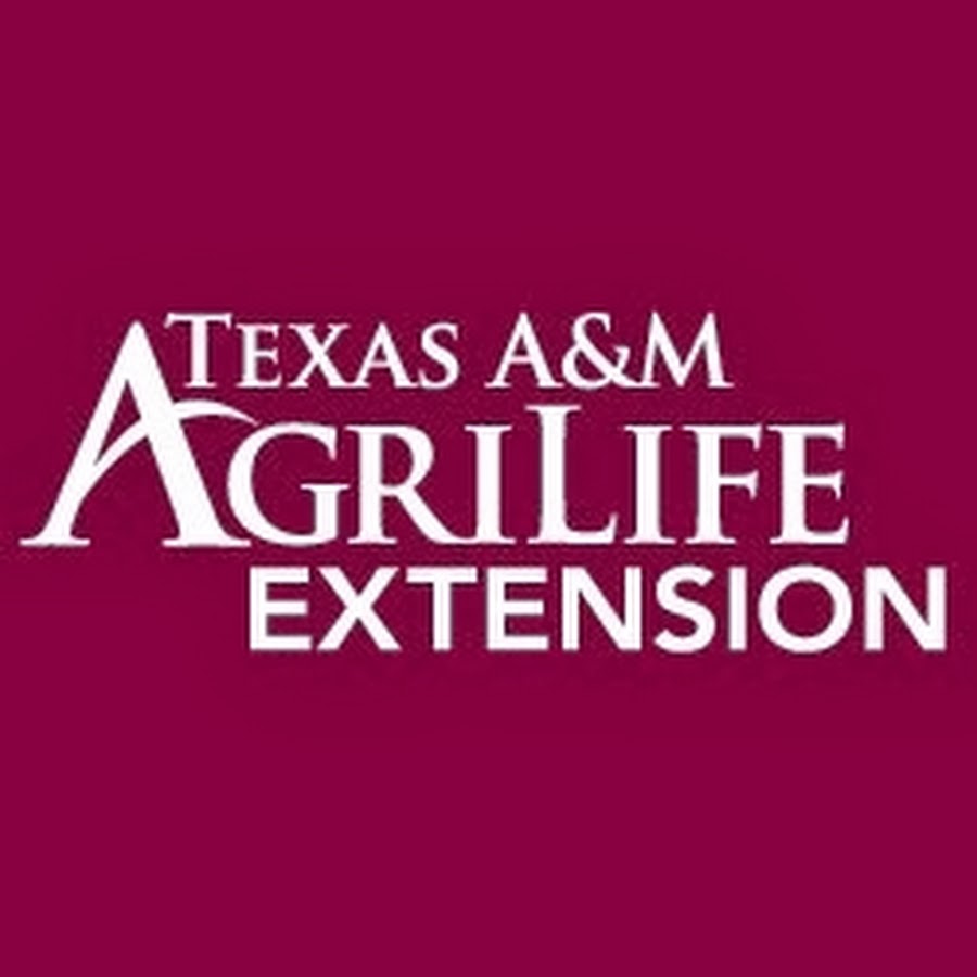 TAMU Wildlife and Fisheries Extension Avatar channel YouTube 