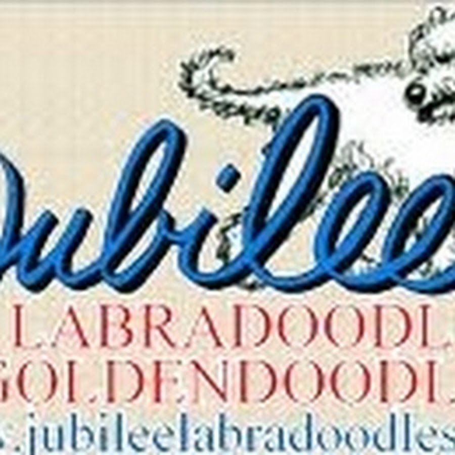 jubileelabradoodles1 ইউটিউব চ্যানেল অ্যাভাটার