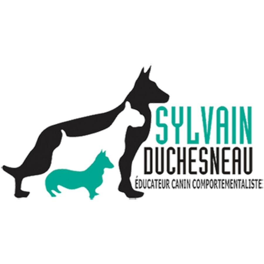 Education Canine Sylvain Duchesneau YouTube 频道头像
