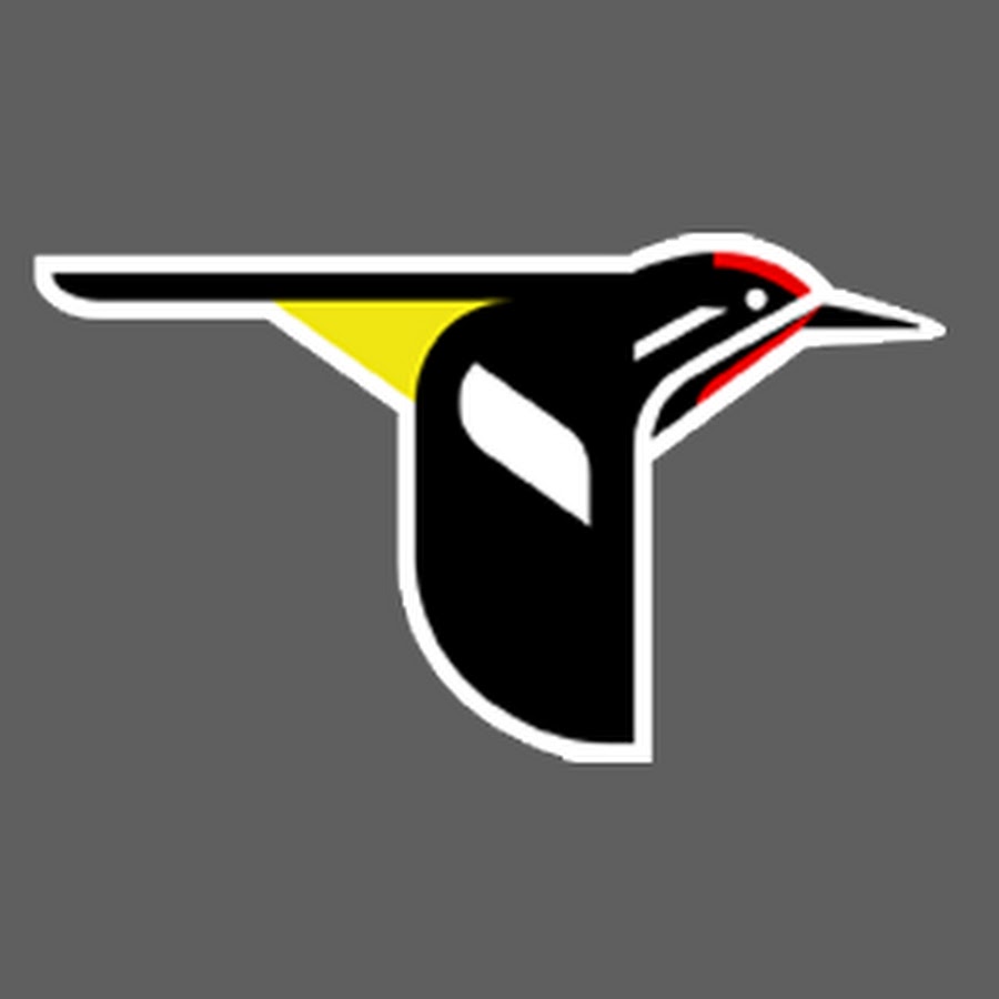 Cornell Lab Bird Cams Project YouTube kanalı avatarı