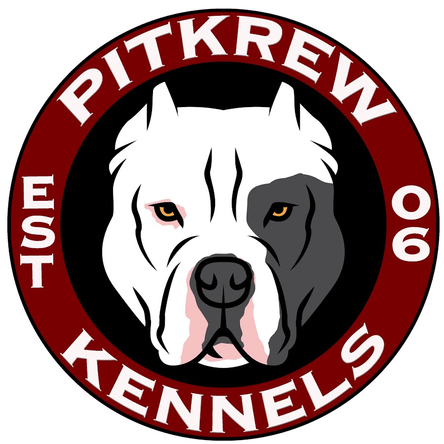 PitKrewKennels यूट्यूब चैनल अवतार