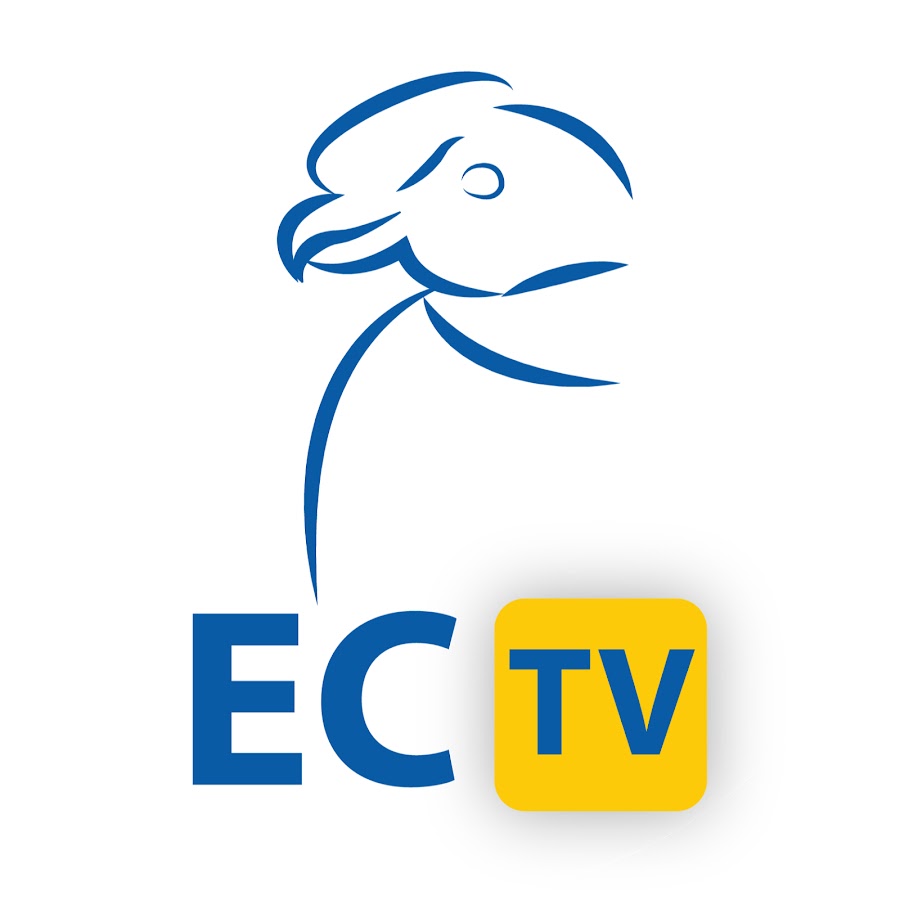 El CÃ³ndor TV YouTube channel avatar