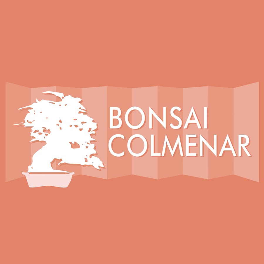 Bonsai Colmenar YouTube channel avatar