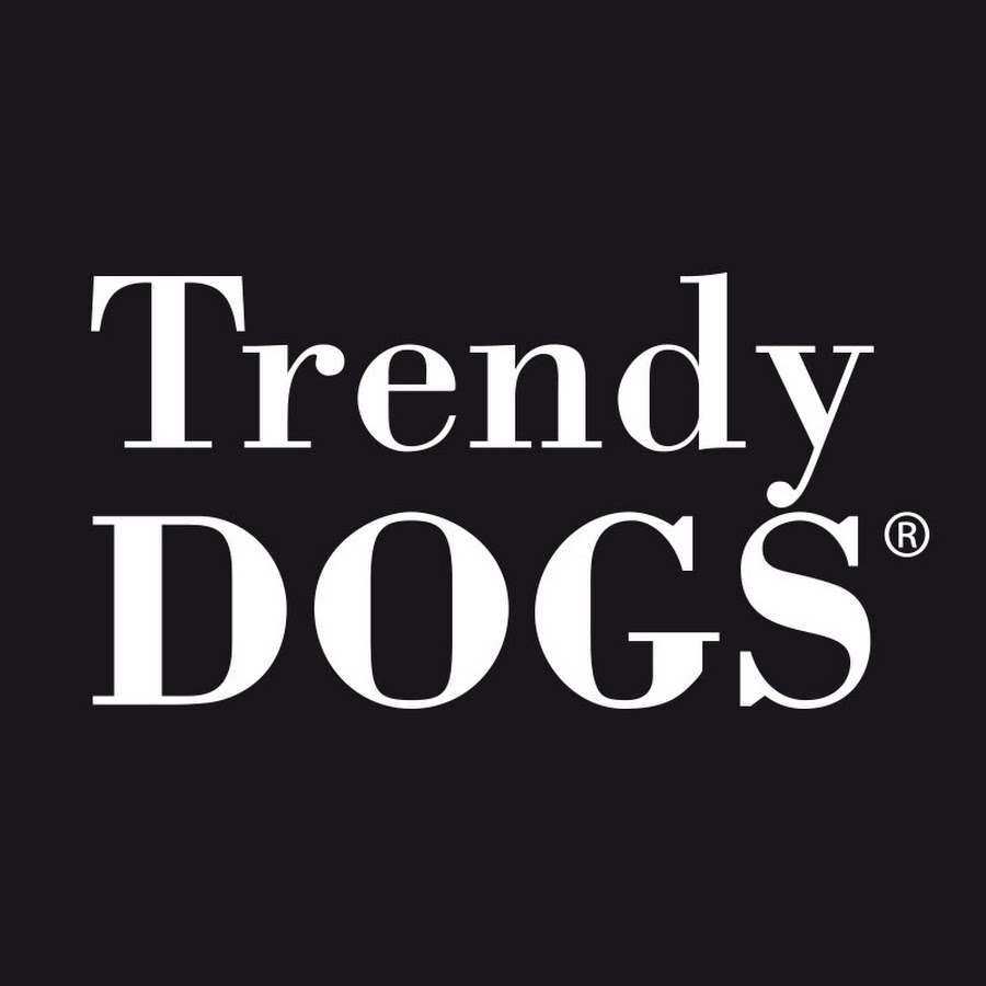 Trendy Dogs YouTube channel avatar