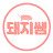 돼지쌤