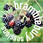 the bramblebury sessions YouTube Profile Photo