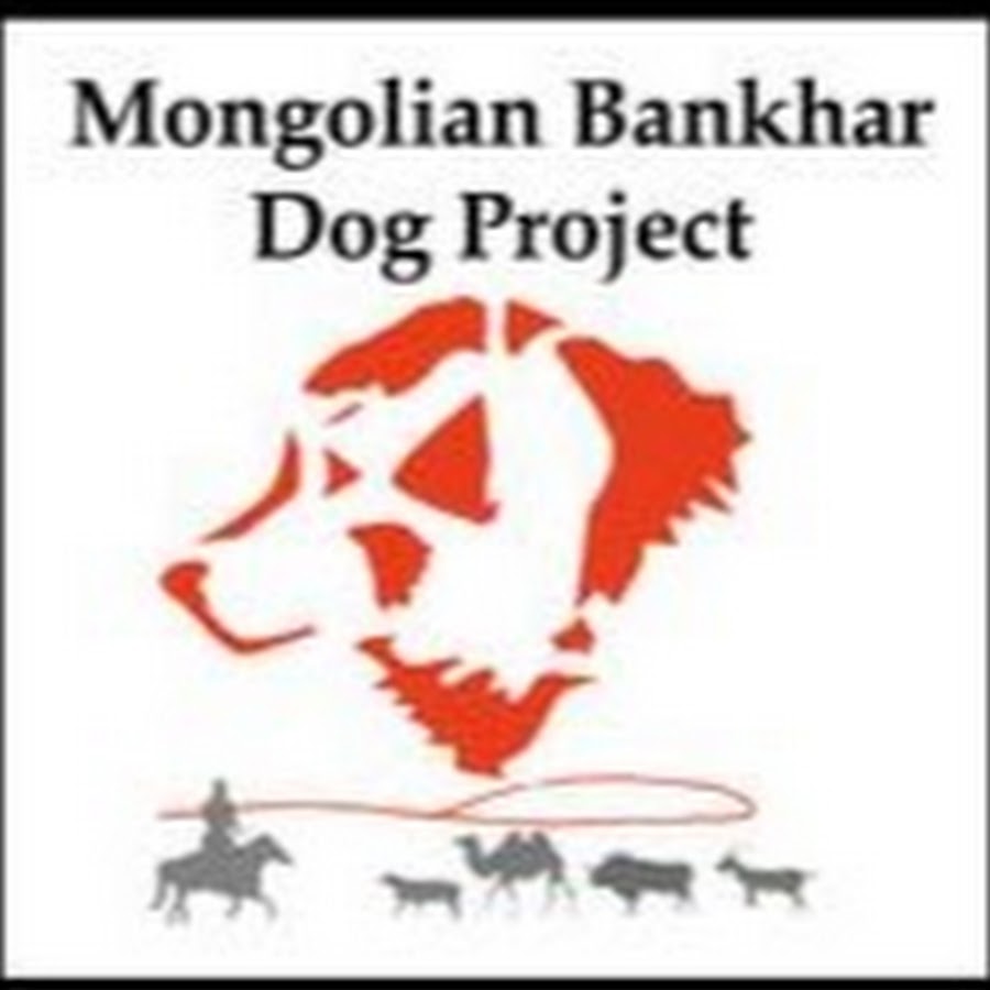 The Mongolian Bankhar