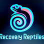 Recovery Reptiles YouTube Profile Photo