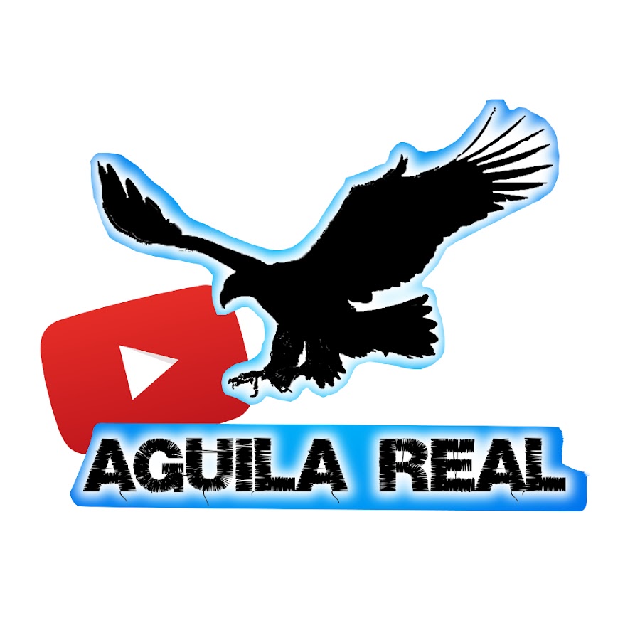 MÃºsica AyR Avatar channel YouTube 