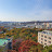 척척박사김민수