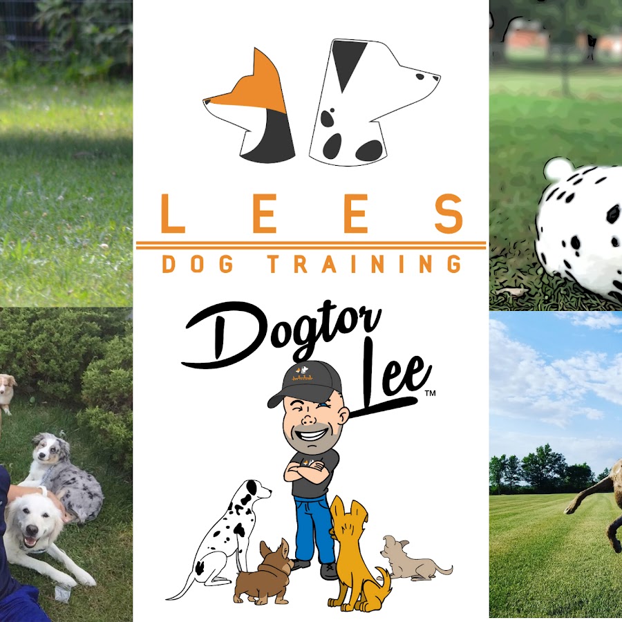 Lee's Dog Training