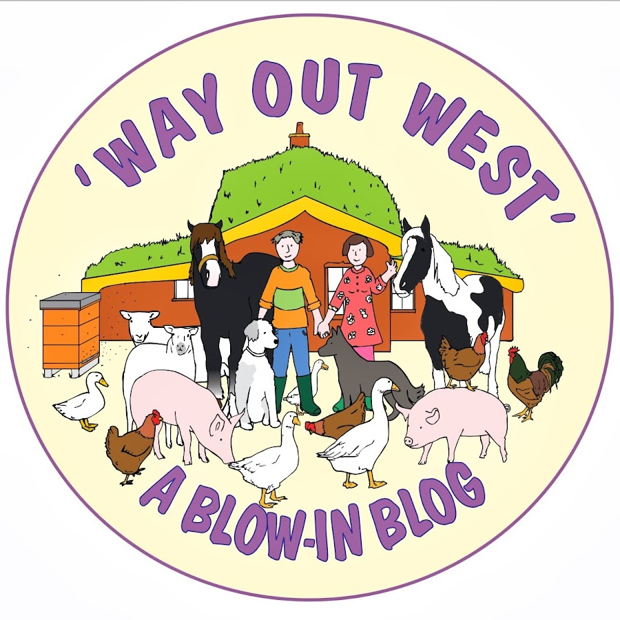 Way Out West Blow-in