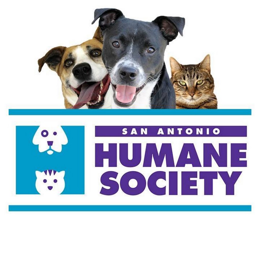 San Antonio Humane Society YouTube channel avatar