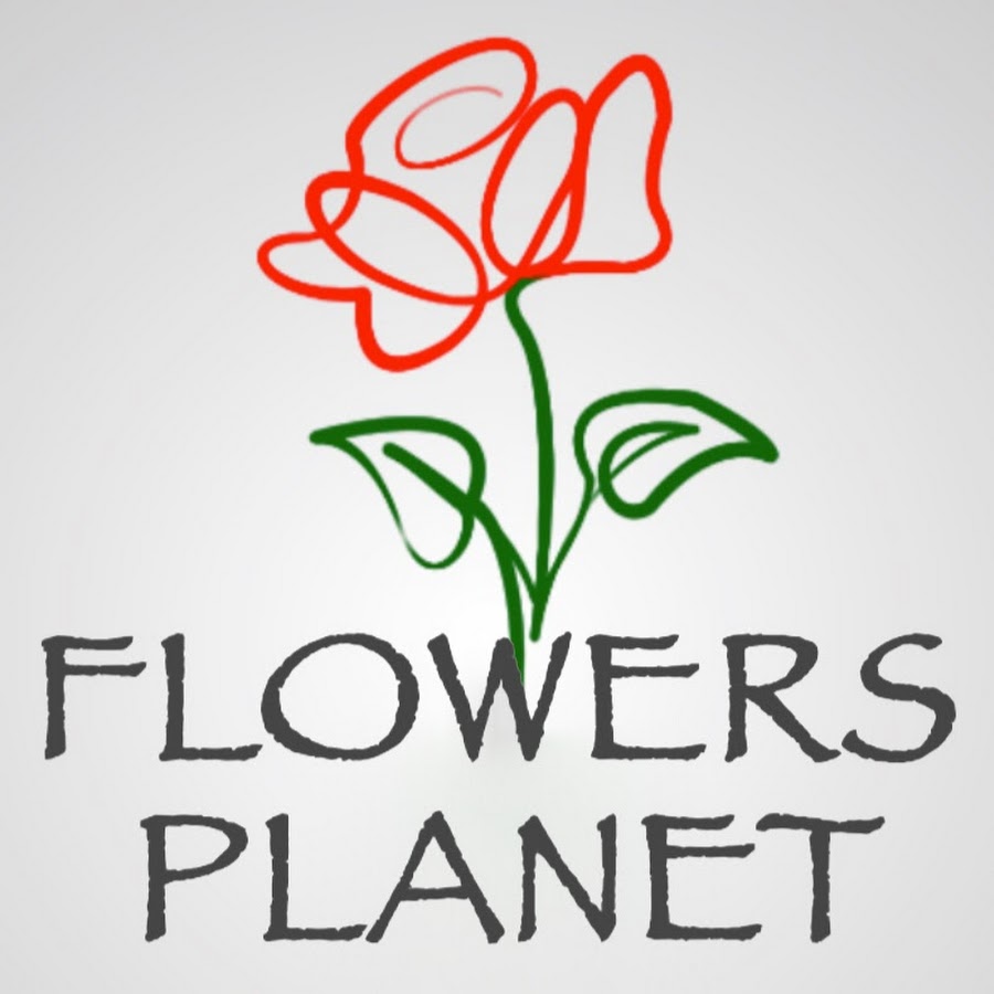 FLOWERS PLANET ÙƒÙˆÙƒØ¨ Ø§Ù„ÙˆØ±ÙˆØ¯ رمز قناة اليوتيوب
