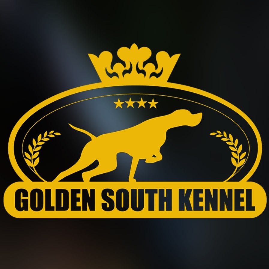 Golden South kennel Аватар канала YouTube