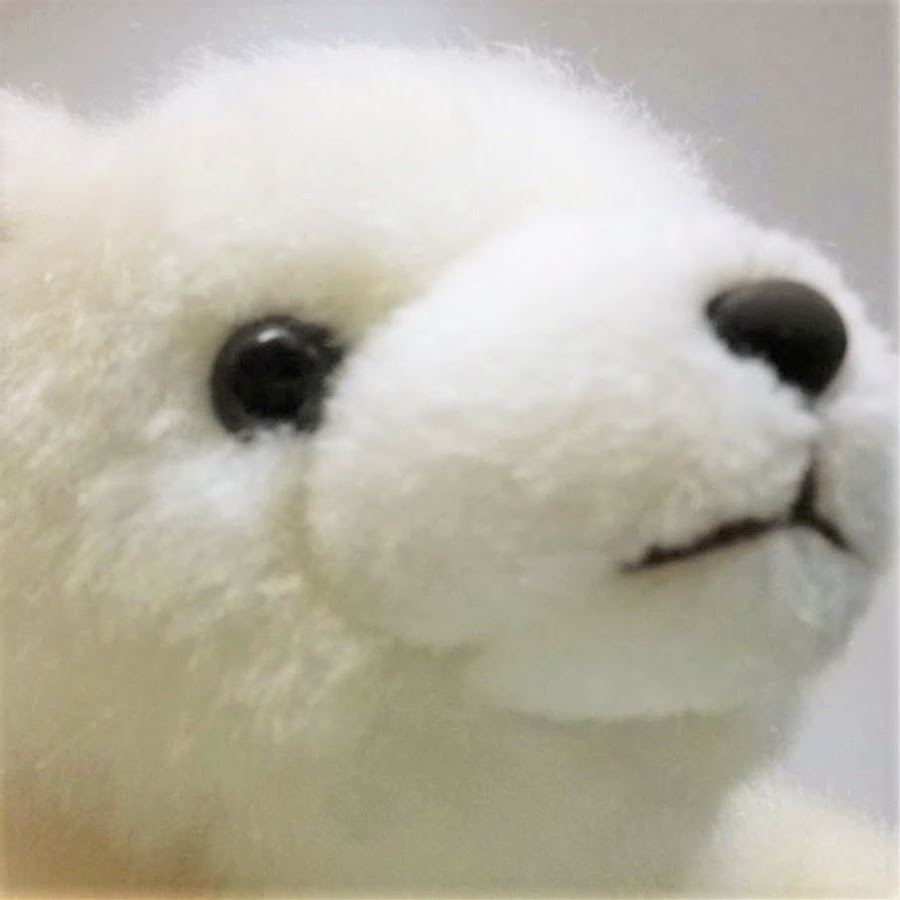 Shirokuma Bihitasu رمز قناة اليوتيوب