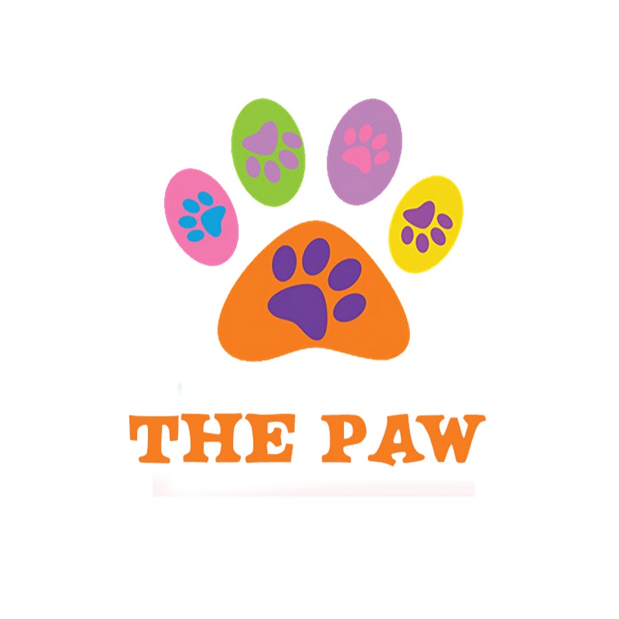 The Paw YouTube 频道头像
