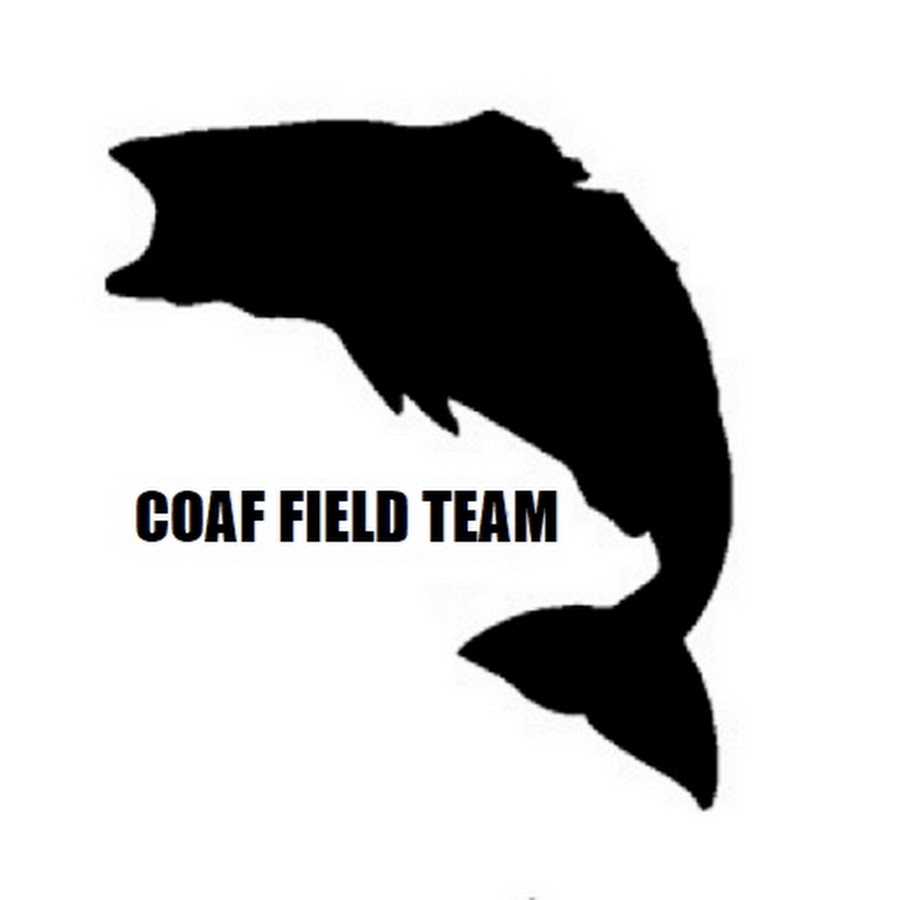 COAF Field Team رمز قناة اليوتيوب