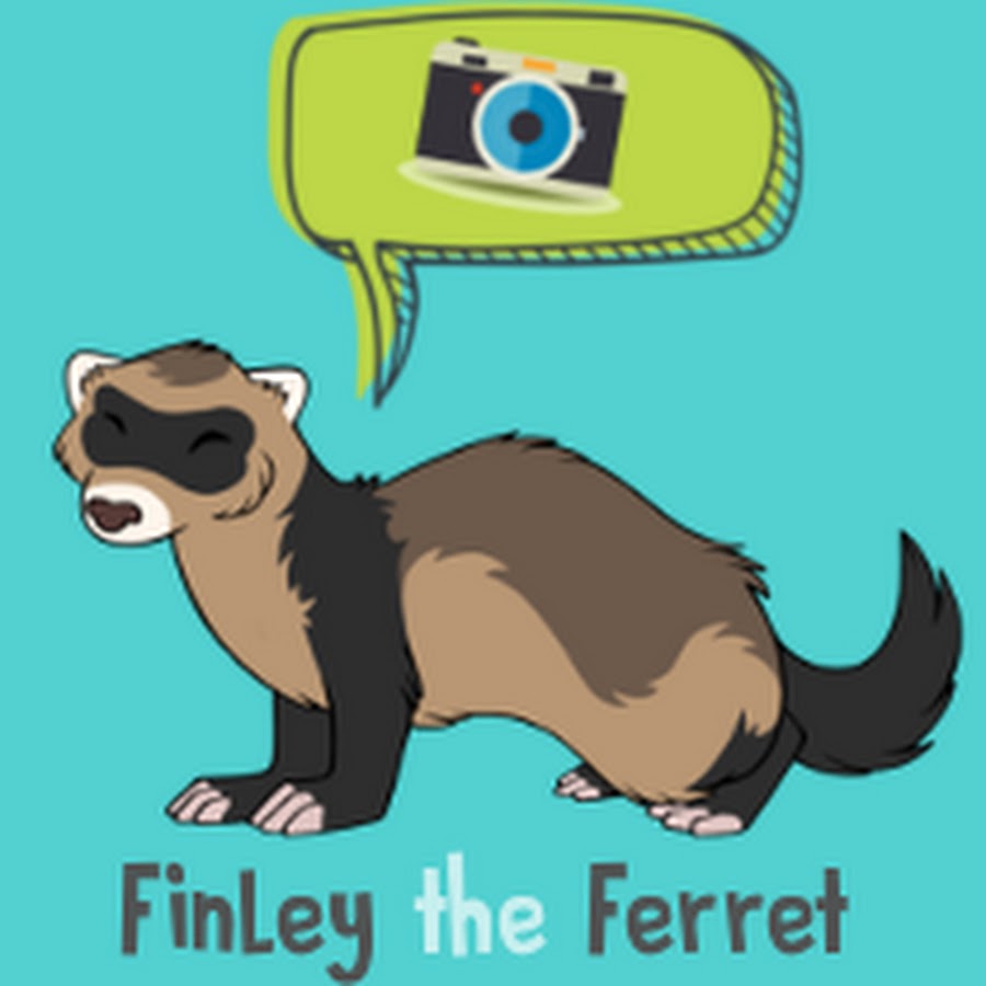 FinleytheFerret YouTube channel avatar