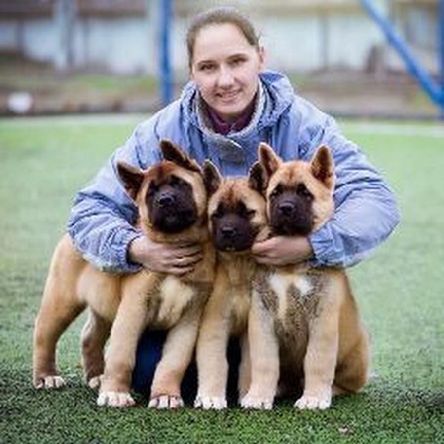 Ð•ÐºÐ°Ñ‚ÐµÑ€Ð¸Ð½Ð° Ð Ð¾Ð¶ÐºÐ¾ यूट्यूब चैनल अवतार