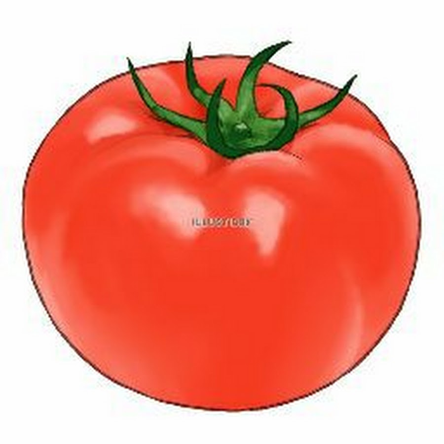 トマトチャンネルr Youtube
