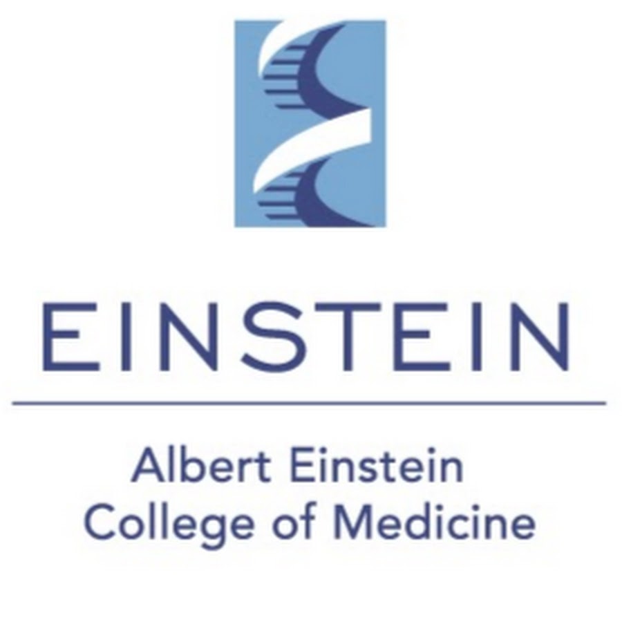 Albert Einstein College of Medicine YouTube 频道头像