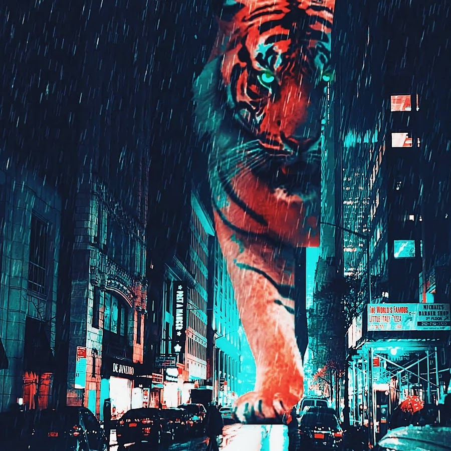 CITYTIGERSS Аватар канала YouTube