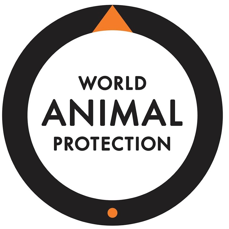 ProteÃ§Ã£o Animal Mundial YouTube channel avatar