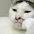 상류사회