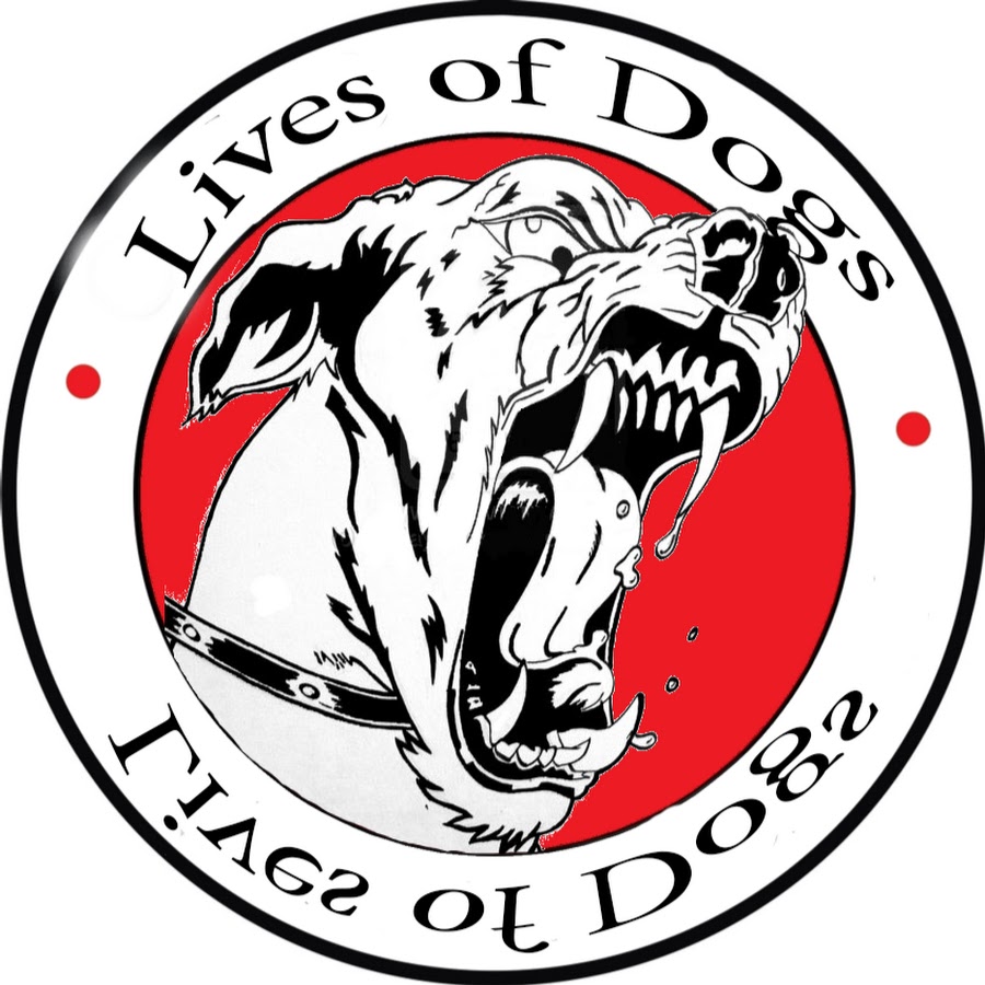 Lives of dogs ØªØ¯Ø±ÙŠØ¨ ÙƒÙ„Ø§Ø¨ YouTube channel avatar