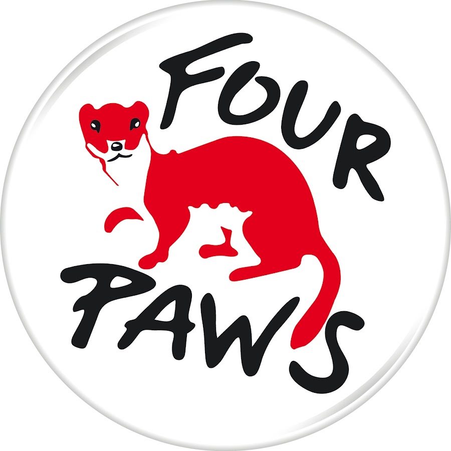 FOUR PAWS International رمز قناة اليوتيوب