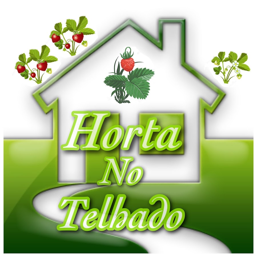 Horta no telhado Do Dinho YouTube channel avatar