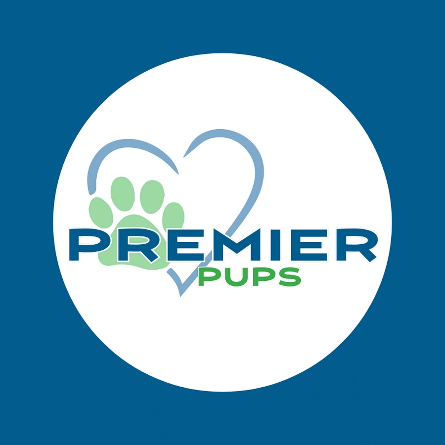 Premier Pups YouTube channel avatar