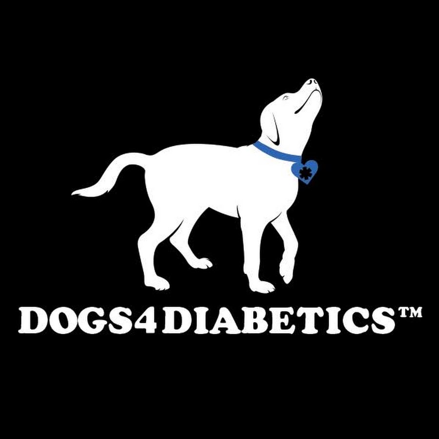 Dogs4Diabetics यूट्यूब चैनल अवतार